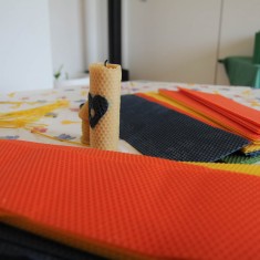 IMG_1250